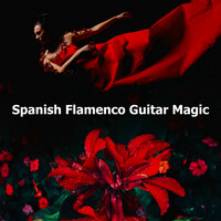 Thumbnail for the Flamenco Guitar Masters - Cadence Cubas link, provided by host site