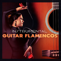 Thumbnail for the Gypsy Flamenco Masters - Cadence Guitarra link, provided by host site