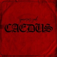 Thumbnail for the SpaceMan Zack - Caedus link, provided by host site