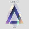 Thumbnail for the Anik - Caged Bird link, provided by host site