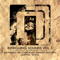 Thumbnail for the The Insiders - Cairo link, provided by host site