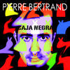 Thumbnail for the Pierre Bertrand - Caja Negra link, provided by host site