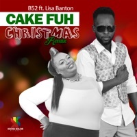 Thumbnail for the B52 - Cake Fuh Christmas link, provided by host site