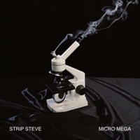 Thumbnail for the Strip Steve - Calcium [Album Edit] link, provided by host site