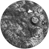 Thumbnail for the Recondite - Caldera link, provided by host site