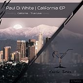 Thumbnail for the Paul Di White - California link, provided by host site
