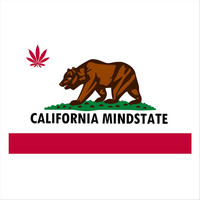 Thumbnail for the Parallel - California Mindstate link, provided by host site