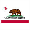 Thumbnail for the Parallel - California Mindstate link, provided by host site