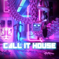 Thumbnail for the Laidback Luke - Call It House link, provided by host site