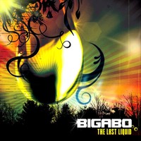 Thumbnail for the Cycle Sphere - Call It What You Want - Bigabo Remix link, provided by host site