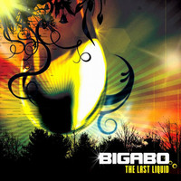 Thumbnail for the Eskimo * - Call It What You Want - Bigabo Remix link, provided by host site