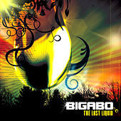 Thumbnail for the Cycle Sphere - Call it what you want (Bigabo Remix) link, provided by host site