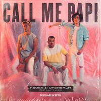 Thumbnail for the Feder - Call Me Papi - Damien N-Drix Remix link, provided by host site