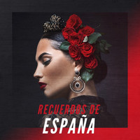 Thumbnail for the Javier Alvarez - Calle de Alcala link, provided by host site