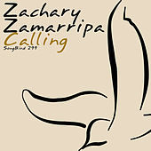 Thumbnail for the Zachary Zamarripa - Calling link, provided by host site