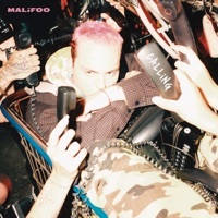 Thumbnail for the Malifoo - Calling link, provided by host site
