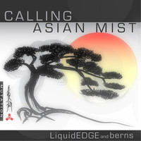 Thumbnail for the Berns - Calling / Asian Mist link, provided by host site