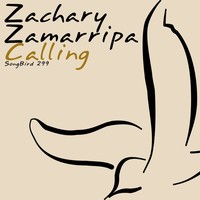 Thumbnail for the Zachary Zamarripa - Calling link, provided by host site