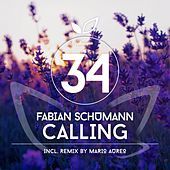 Thumbnail for the Fabian Schumann - Calling link, provided by host site