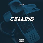 Thumbnail for the Goldie - Calling link, provided by host site