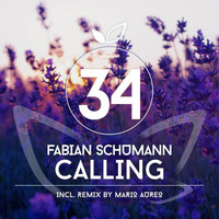 Thumbnail for the Fabian Schumann - Calling link, provided by host site