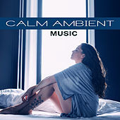 Thumbnail for the The Rest - Calm Ambient Music – New Age Relaxation Stress Relief, Peaceful Waves, Chilled Melodies link, provided by host site