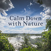 Thumbnail for the The Rest - Calm Down with Nature link, provided by host site