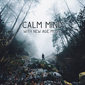Thumbnail for the The Rest - Calm Mind with New Age Music – Soothing Waves, Relaxing New Age Sounds, Music to Rest, Peaceful Mind, Stress Relief link, provided by host site
