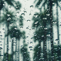 Thumbnail for the Asian Zen Meditation - Calm Music | Yoga link, provided by host site