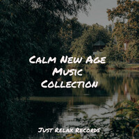 Thumbnail for the Meditation Spa - Calm New Age Music Collection link, provided by host site