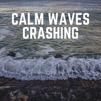 Thumbnail for the Ocean Waves - Calm Waves Crashing link, provided by host site