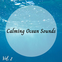 Thumbnail for the Massage Music - Calming Ocean Sounds Vol. 2 link, provided by host site