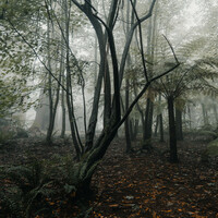 Thumbnail for the Asian Zen Meditation - Calming Sounds | Meditation | Spa and Meditation link, provided by host site