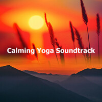 Thumbnail for the Musica Para Estudiar Academy - Calming Yoga Soundtrack link, provided by host site