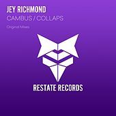 Thumbnail for the Jey Richmond - Cambus / Collaps link, provided by host site