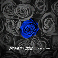 Image of Steelz linking to their artist page due to link from them being at the top of the main table on this page