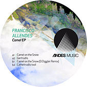 Thumbnail for the Francisco Allendes - Camel link, provided by host site