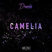 Thumbnail for the Doumea - Camelia link, provided by host site