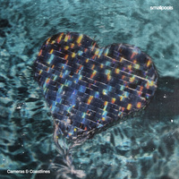 Thumbnail for the Smallpools - Cameras & Coastlines link, provided by host site