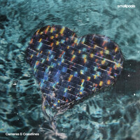 Thumbnail for the Smallpools - Cameras & Coastlines link, provided by host site