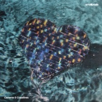 Thumbnail for the Smallpools - Cameras & Coastlines link, provided by host site