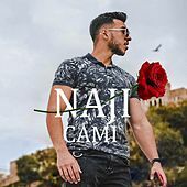 Thumbnail for the Naji - Cami link, provided by host site