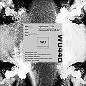 Thumbnail for the Splinter - Camomile Field (Original Mix) link, provided by host site