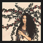 Thumbnail for the Naaz - Can't link, provided by host site