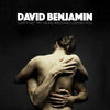 Thumbnail for the David Benjamin - Can't Get My Head Around Loving You link, provided by host site