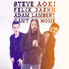 Thumbnail for the Steve Aoki - Can't Go Home link, provided by host site