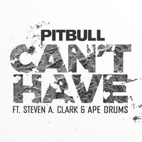 Thumbnail for the Pitbull - Can't Have link, provided by host site