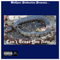 Thumbnail for the Tcm - Can't Trust You Now link, provided by host site