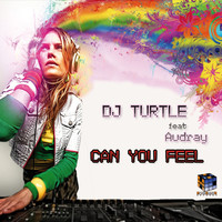 Thumbnail for the Audrey - Can You Feel link, provided by host site