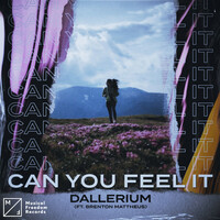 Thumbnail for the Dallerium - Can You Feel It link, provided by host site